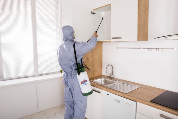Termite Control